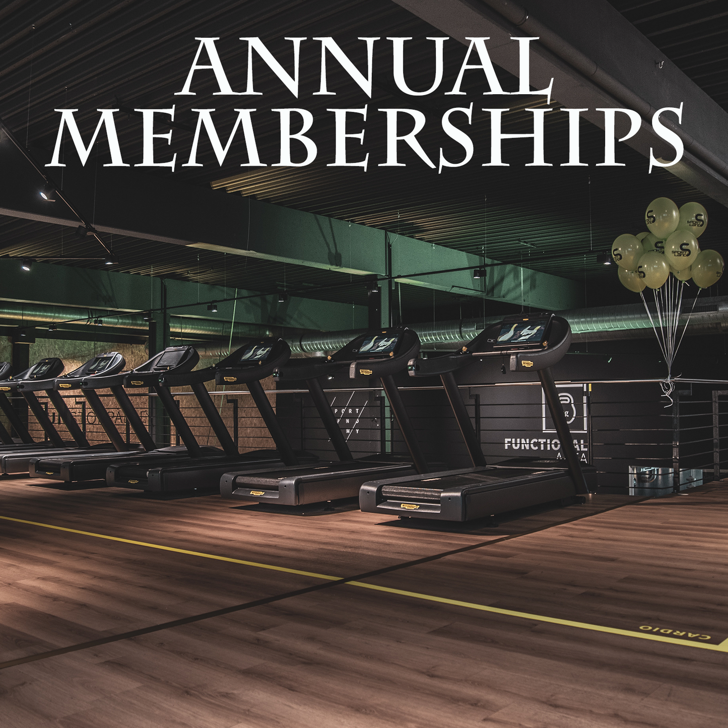 Annual Gym Memberships