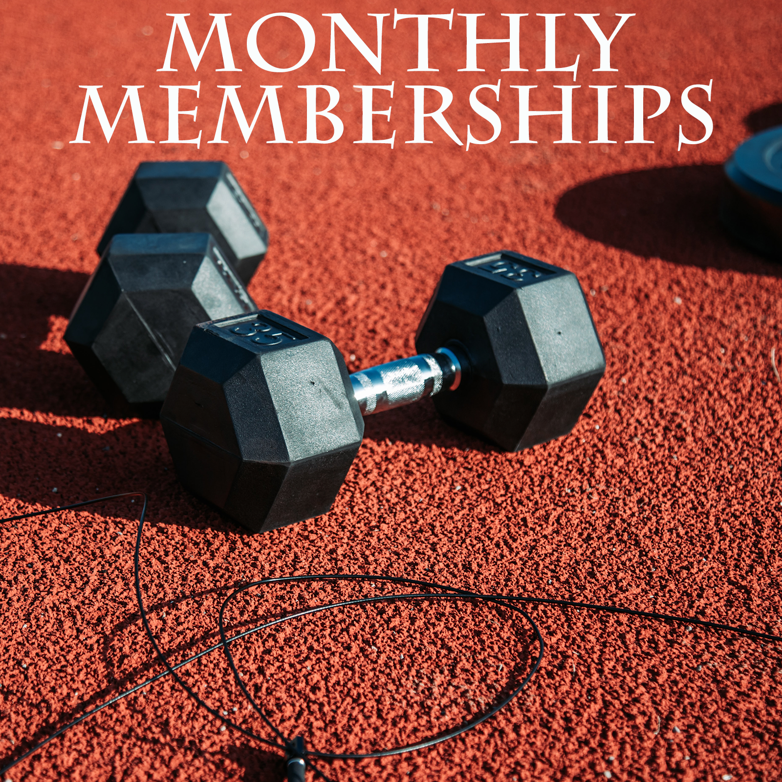 Single Membership Image Family Single Monthly Gym Membership – FieldhouseThayer